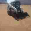 S650 Bobcat 2010