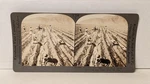 A309, Keystone Sv, Planting Sugar Cane, Lima, Peru, T254-V21868T, 1930. Fixed Price $14.95.
