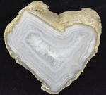 Limbcast Wiggins Fork Wyoming Petrified Wood, 3.2X3.2X3". Fixed Price $130.00.