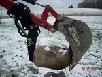 Kubota Bx 25, 23 BT610 BH75 And Woods Backhoe Thumb. Fixed Price $384.79.