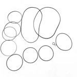Seal Kit For Bobcat Loaders A220 A300 863 883 S220 S300 S650 S750 S770 6676021. Fixed Price $118.09.