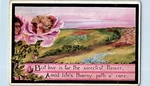 Cobb Shinn Signed Postcard Woman Head But Love Is Far The Sweetest Flowers. Fixed Price $9.72.