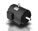 Techtop GR3-RS-OP-184T-2-B-D-7.5 Motor Hp 1800 Rpm 3-PH 230/460 Volt. Fixed Price $1013.46.