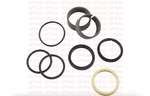 (qty 2) Hyster 2036277, Seal Kit - Lift Cylinder, H80XM. Fixed Price $374.00.