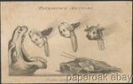 Original CA1760'S John Wilkes Political Cartoon Engraving Patriotick Meteors. Fixed Price $299.99.