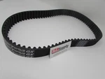 Rayco RG45 RG55 Stump Grinder Polychain Belt 761438 ( Fast Shipping). Fixed Price $279.95.
