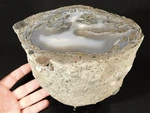 Big! Highly Agatized Polished Wiggins Fork Petrified Wood Fossil Wyoming! 4934GR. Fixed Price $249.99.
