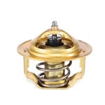 3704299M1 Challenger MT225 MT255B MT260 MT265B Thermostat & Gasket. Fixed Price $68.29.