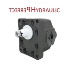 Hydraulic Pump Forest Trailer BG3 43.5CC Size Cast Iron LM42 25702192 Ex. Fixed Price $236.97.