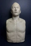 Innosonian Brayden Cpr Manikin Adult Training Dummy With Red Indicator Lights. Fixed Price $249.99.
