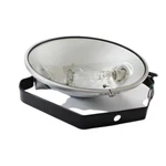 A0000117617 Metal Halide Light Fixture For Generac Tower MLT3060 MLT4060. Fixed Price $199.01.