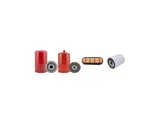 Filter Service Kit Fits Merlo P120.10 Hm W/fpt Eng. Fixed Price $314.09.