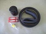Toro Wheel Horse Garden Tractor Filter Tune Up Kit 518H 520H With Onan. Fixed Price $30.98.
