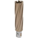 Hougen 1" X 3" Copperhea Carbide Tip Annular (3-18232). Fixed Price $129.31.