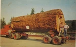 1955 Giant Fir Log, Hauling Mack Truck? Pm Oaceanlake, Or 3/8" X 1/2" Pc. Fixed Price $5.50.